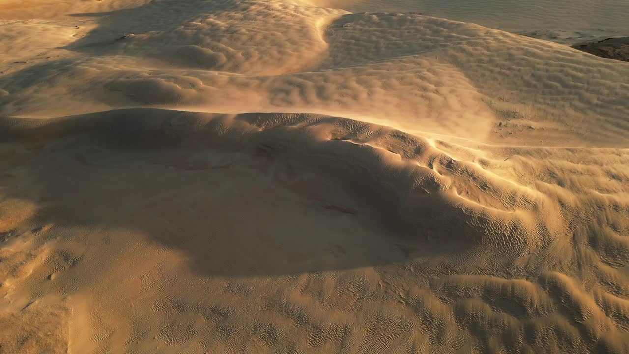 Drone che sfiora le creste di sabbia dorata, mettendo in risalto il movimento creato dal vento e le curve morbide, Big Drift, Wilsons Promontory, Victoria, Australia