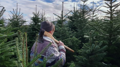 Un-Hombre-Sostiene-Un-Hacha-En-Un-Bosque-De-árboles-De-Navidad-Buscando-El-Adecuado-Para-Las-Fiestas