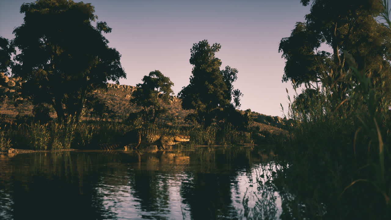 Crocodilo à Beira do Rio ao Pôr do Sol