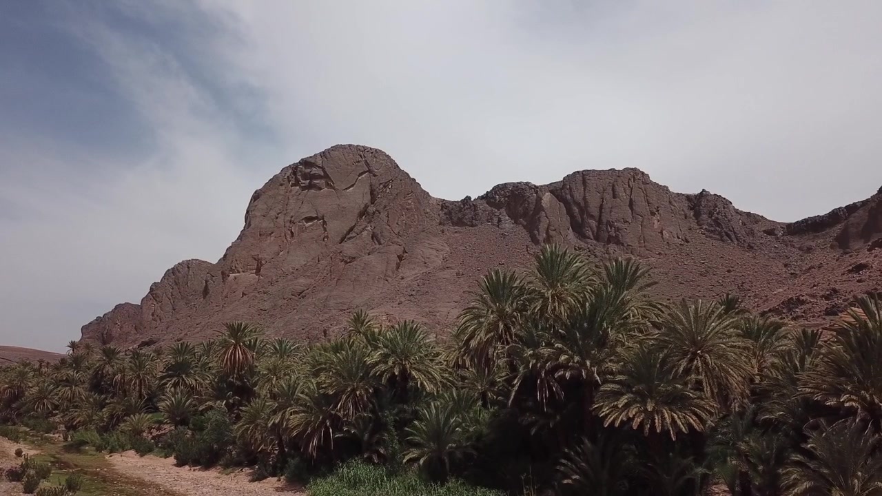 Filmagem cinematográfica de drone de um denso oásis de palmeiras em contraste com um cenário de montanhas rochosas e escarpadas em Ouarzazate, Marrocos. Forte contraste natural entre a vegetação verde e o terreno árido, ideal para viagens.