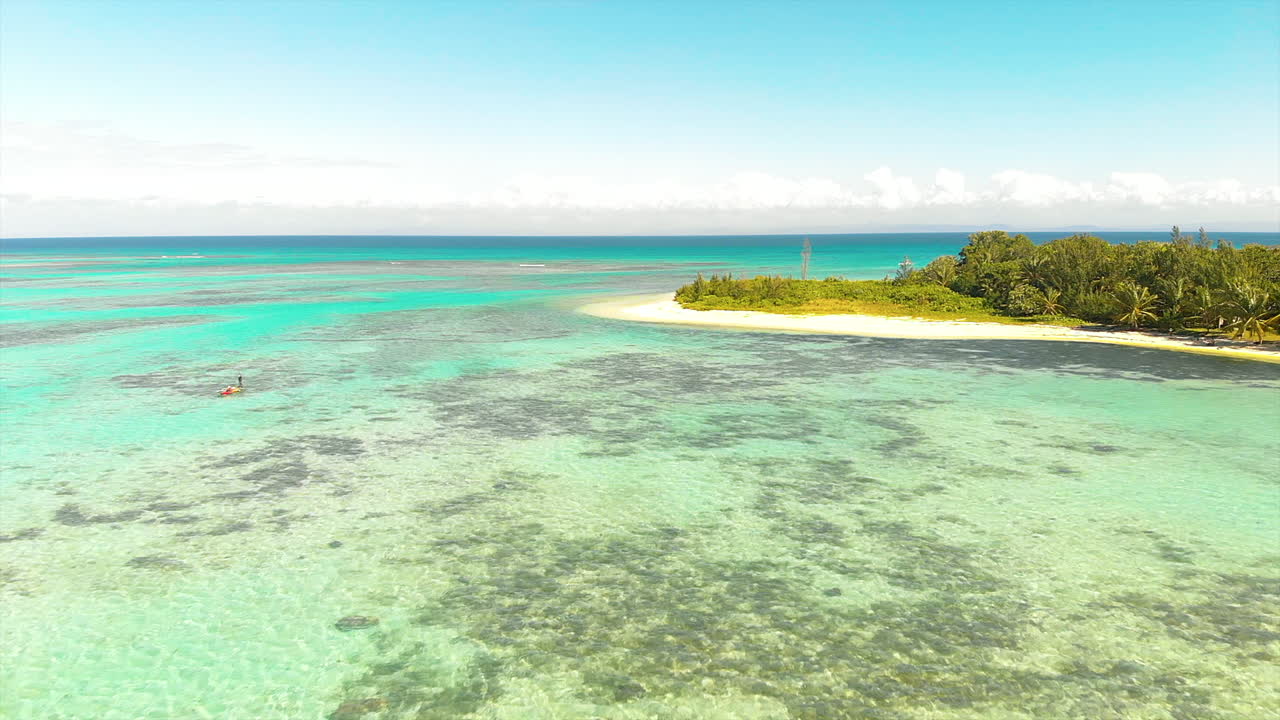 야자수와 푸른 물이 있는 열대 해변의 공중 전망