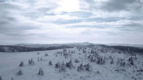 Flying-towards-several-kite-skiers-skiing-on-a-mountain-in-winter---aerial-view