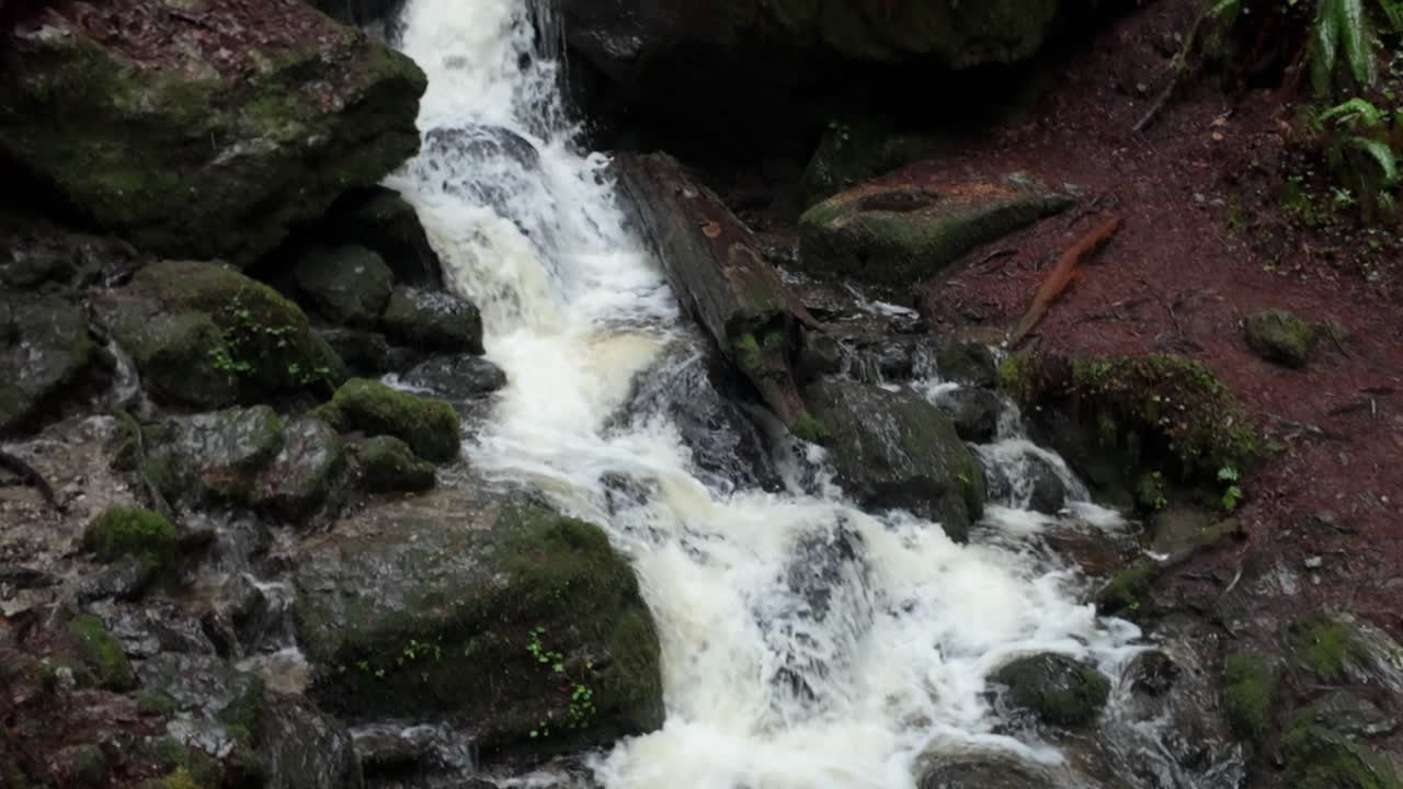 Ripresa a dettaglio crescente con gimbal delle cascate Trillium nel Redwood National Park, California. Video 4K a 60 FPS in slow motion