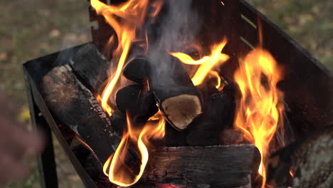 closeup shot of hands adding coal to lit barbeque