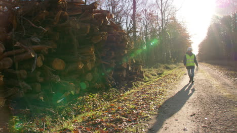 Male-woodcutter-walking-towards-pile-of-lumber-and-writes-down-on-his-clipboard,-handheld-static