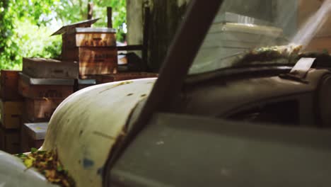 beehives and old pick up truck in apiary