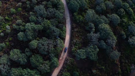 cinematic overhead top-down aerial follow shot of car driving on road through a lush forest