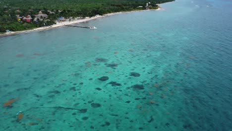 Cozumel-coastline-with-clear-waters-and-tropical-landscape,-aerial-view