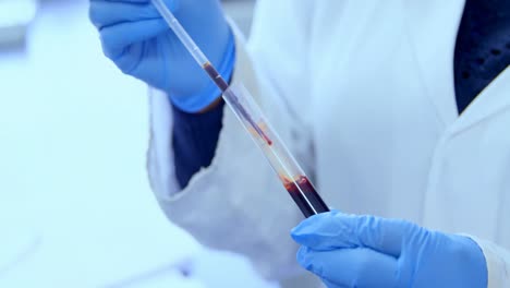 doctor testing blood sample in blood bank 4k