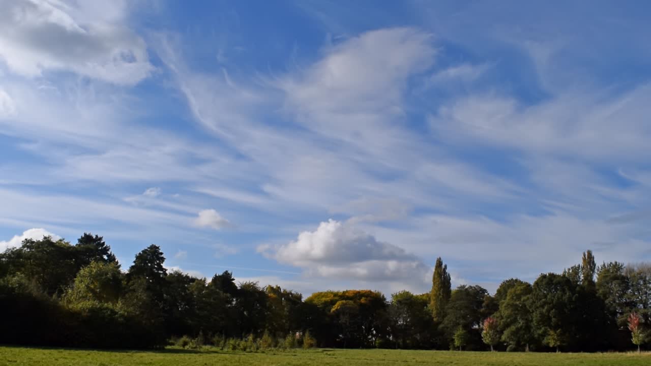 Sunny park with beautiful blue sky E. Fluffy clouds in a beautifully lit natural park scene. No time-lapse. Long clip