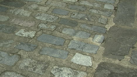 a pathway of cobblestones and flagstones