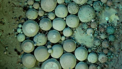 4k abstract liquid oil bubble background