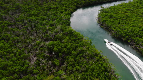 Fast-ride-in-motorboat-among-green-vegetation-in-mangrove-forest