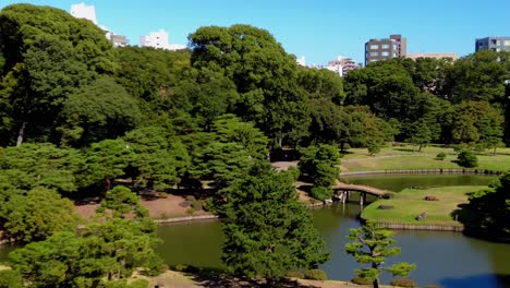 het prachtige park in tokio.