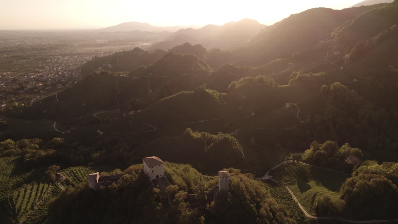 Veduta panoramica aerea del tramonto sulle famose colline del Prosecco con filari di vigneti, in Italia