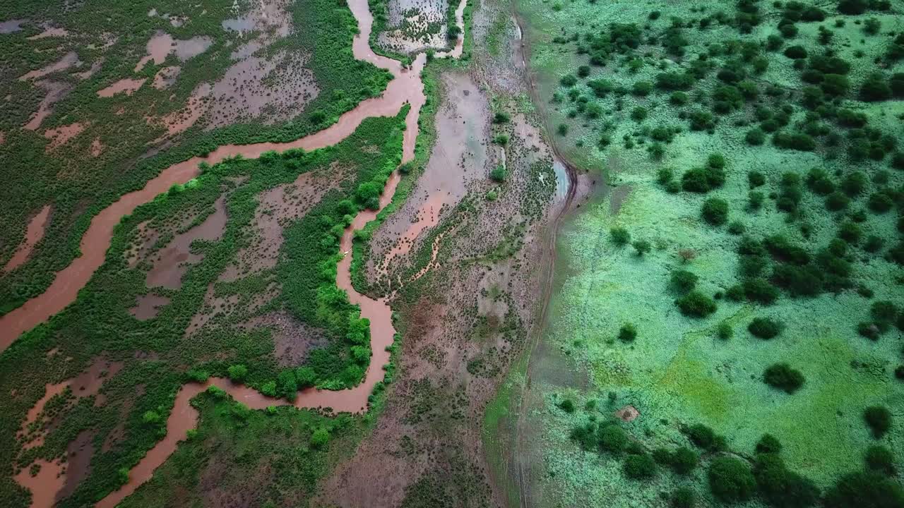gente montando motos alrededor del lago magadi con agua turbia y vegetación verde en kenia