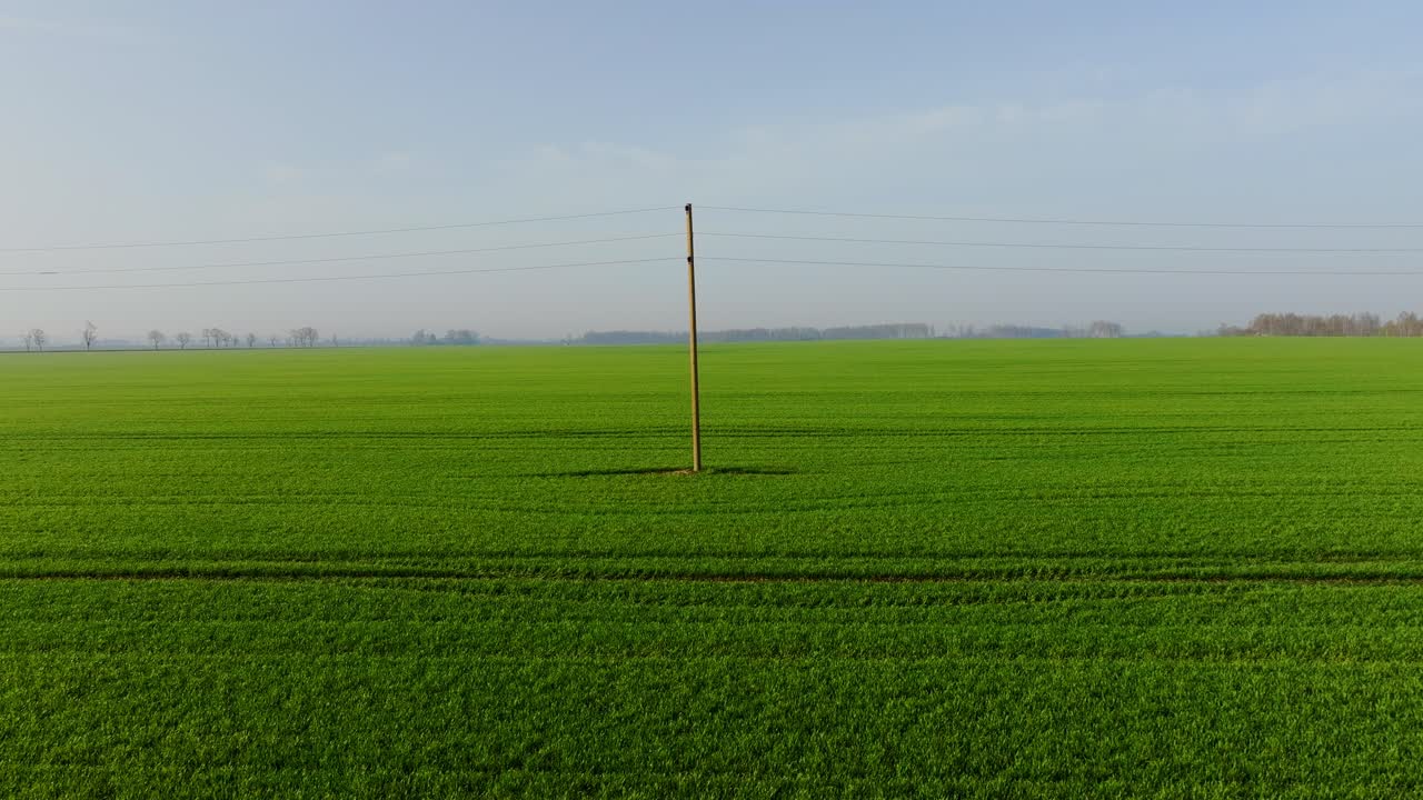 Peaceful lateral flight over early morning crops and empty power line view