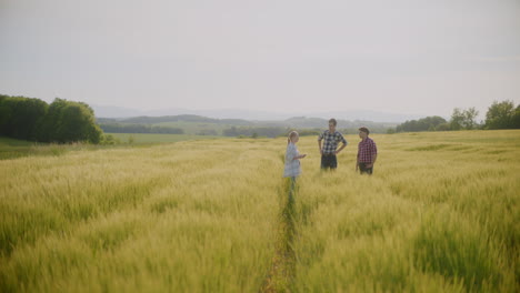 farmers discussing in a wheat field