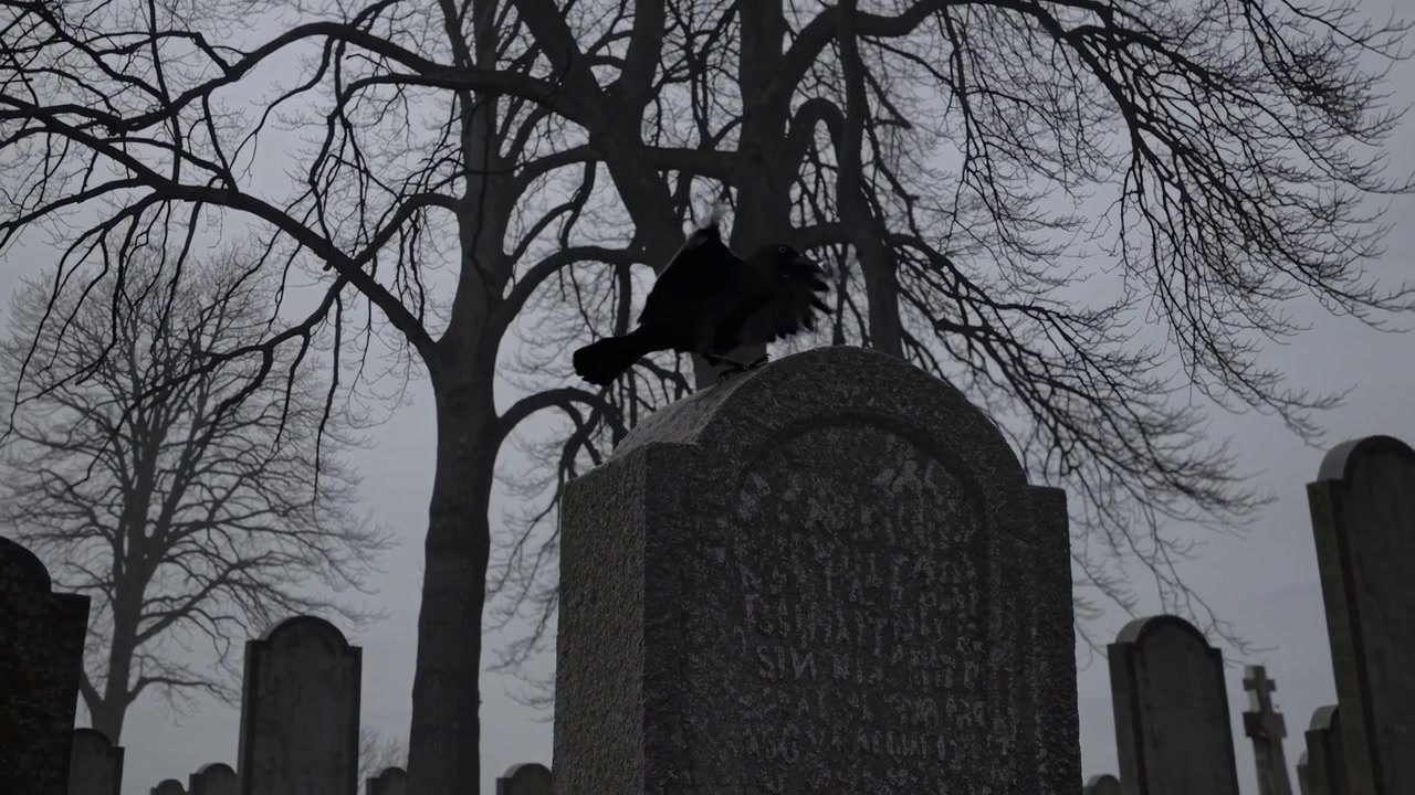 Corvo nero appollaiato su una vecchia lapide in un cimitero cupo