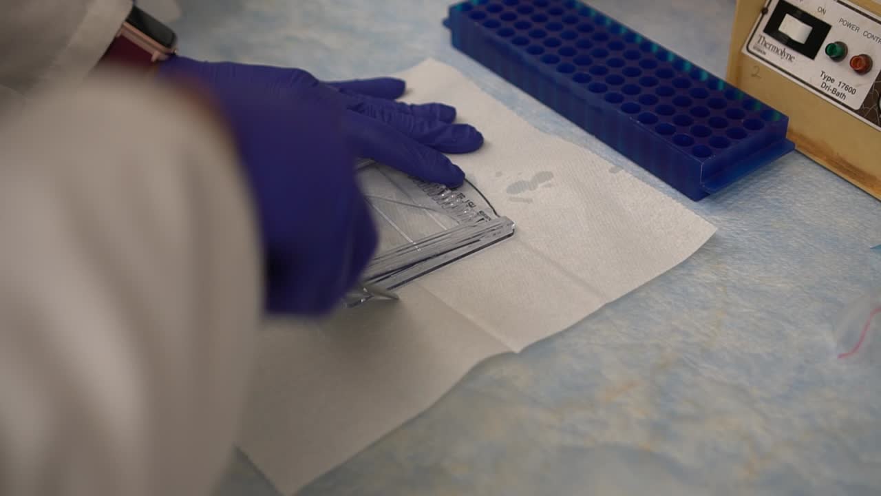 Scientist opens up western blot cassette late at night