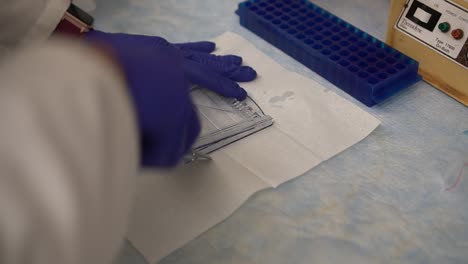 scientist opens up western blot cassette late at night