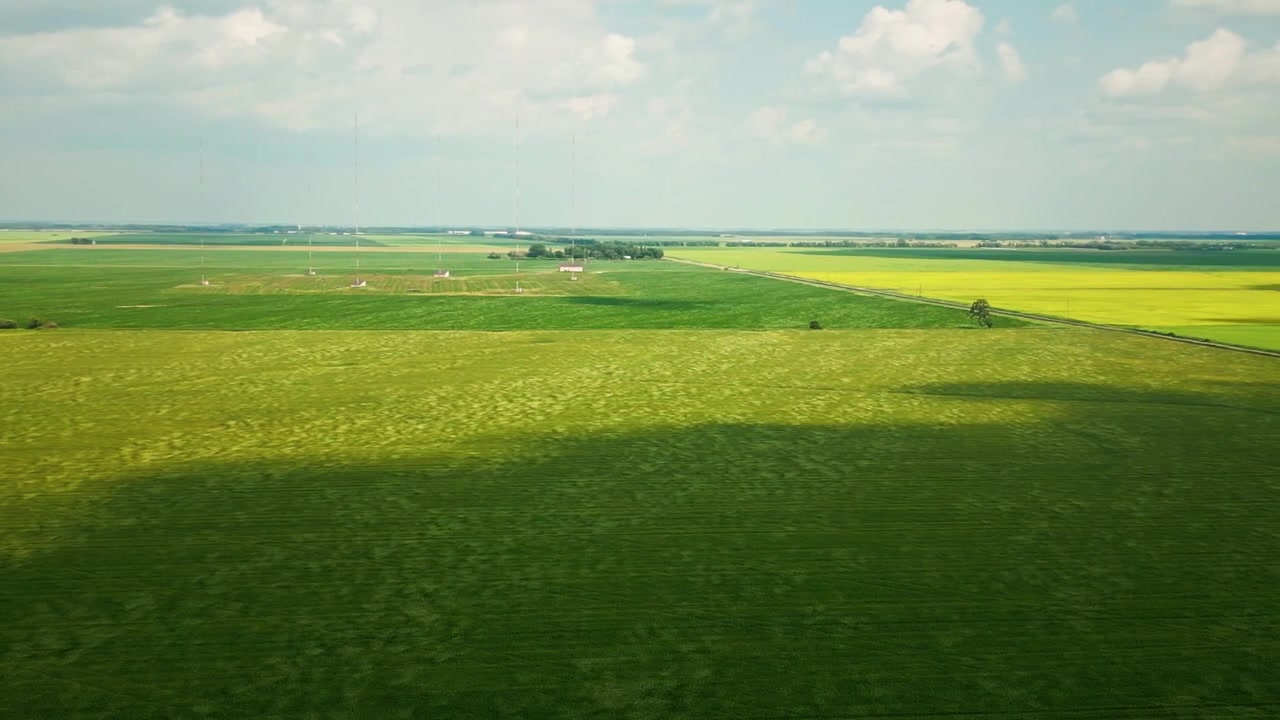 Panning drone shot of green wheat fields swaying in the wind beneath a bright blue summer sky in the Canadian prairies
