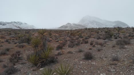 tierra desértica