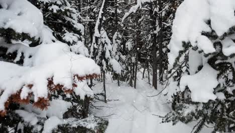 animación de la nieve cayendo sobre el paisaje rural de invierno