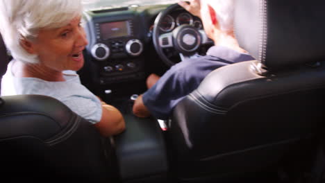 joven viajando en la parte trasera de un coche con los abuelos