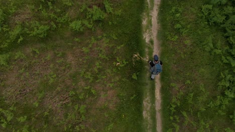 Draufsicht-Auf-Einen-Einsamen-Wanderer,-Der-Mit-Einem-Großen-Rucksack-Auf-Einem-Pfad-In-Einer-Grünen-Wiese-Geht