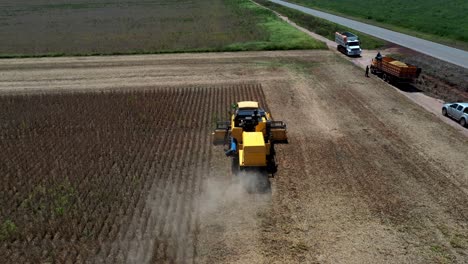 una cosechadora industrial que recolecta cultivos de soja de tierras agrícolas deforestadas en la sabana brasileña - vista aérea