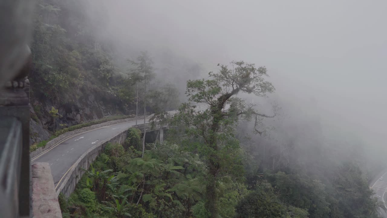 Foggy Mountain Road: A Scenic Drive Through Lush Greenery
