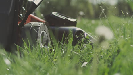 lawn mower mowing grass