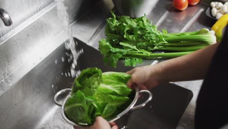 caucasian female chef washing vegetables in colander in restaurant kitchen