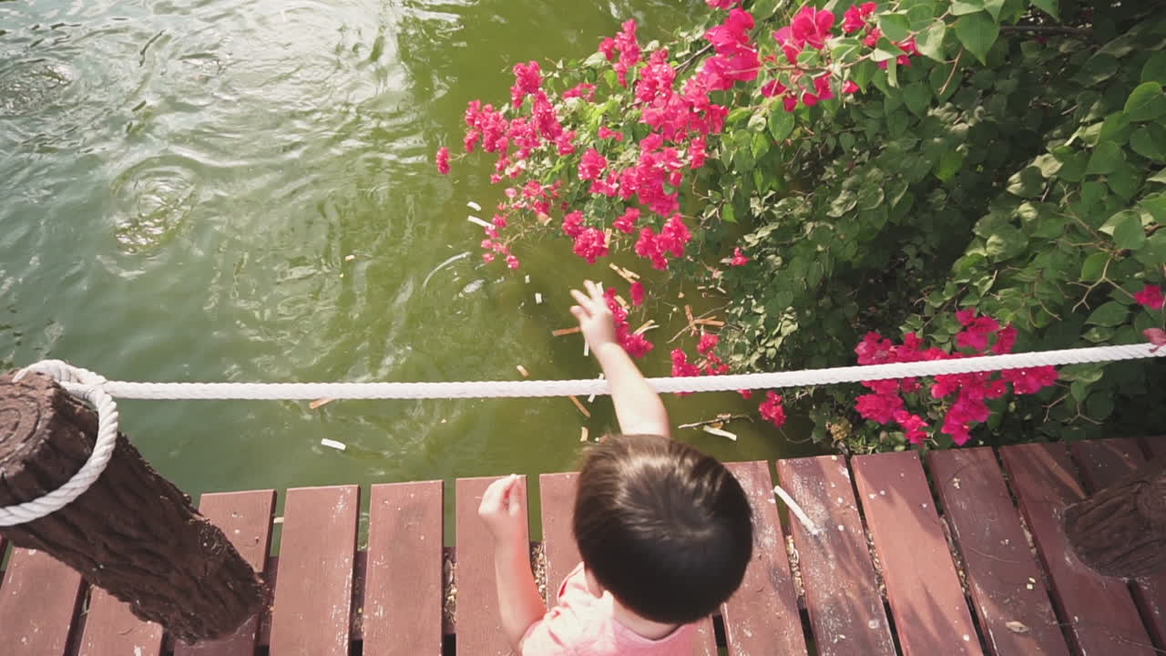 Two year old Asian toddler excited enjoying in an outdoor park feeding the fish in a pond from a wooden bridge with pink flowers