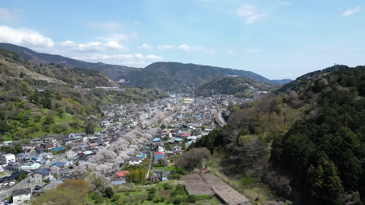 Yamakita village in Kanagawa, drone flight during Sakura season