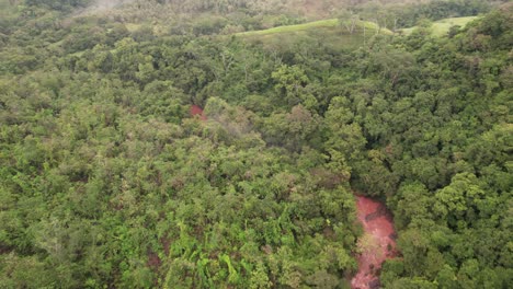 river and tropical rain forests of costa rica_drone shot