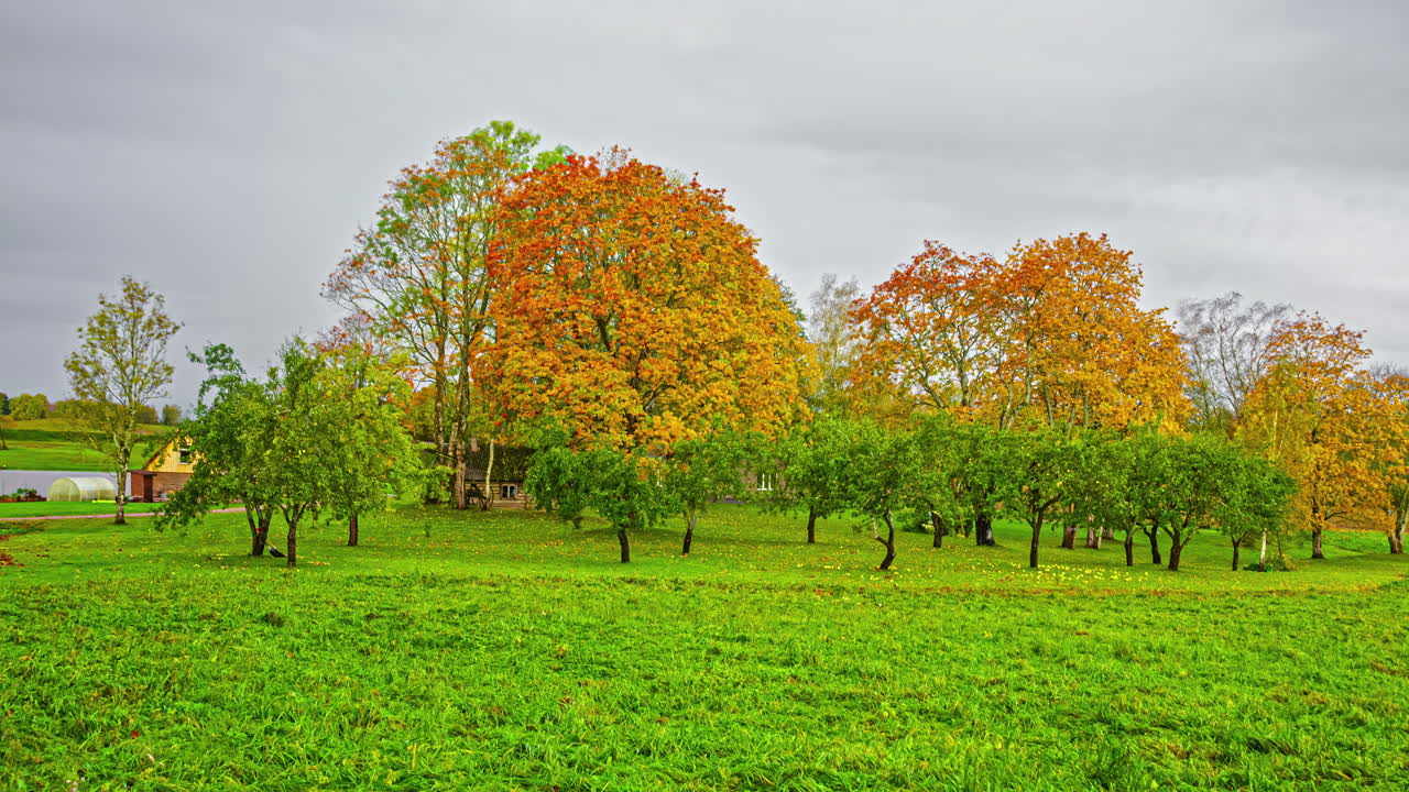 las nubes pasan rápidamente sobre un huerto en un prado verde