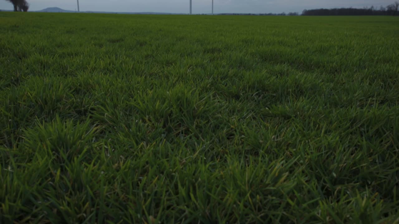 molinos de viento de granja parados en medio de vastos campos verdes en el campo - toma de inclinación panorámica