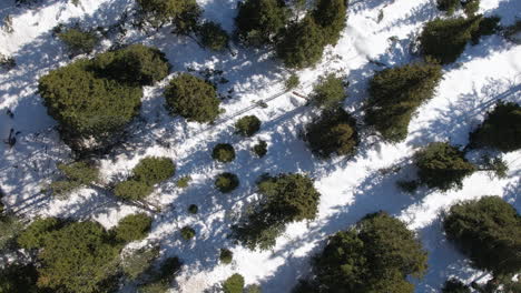 Drohnenaufnahmen-Eines-Schneebedeckten-Waldes-In-Den-Dolomiten,-Aufgenommen-Mit-Einer-Langsamen-Drehbewegung