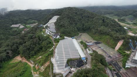 general landscape view of the brinchang district within the cameron highlands area of malaysia