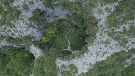 stunning drone footage showcasing the breathtaking beauty of italy's wild nature, featuring  forests, rugged landscapes, and untouched wilderness. we are at fondarca, nerone mountain