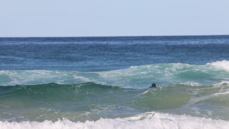 surfistas montando y esperando las olas
