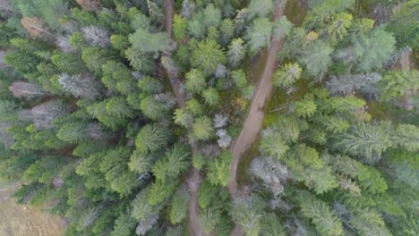 Aerial-drone-footage-of-Downhill-Mountainbiking-in-Jarvso-Bike-Park-in-Sweden