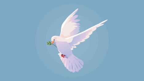 peace dove bird flying animation