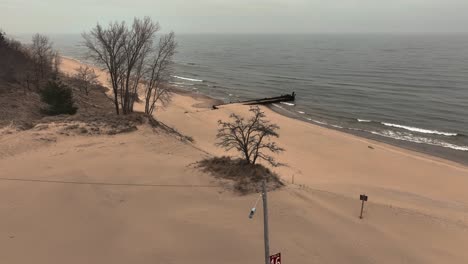 Giro-De-Paralaje-Alrededor-De-Un-Solo-árbol-En-La-Playa