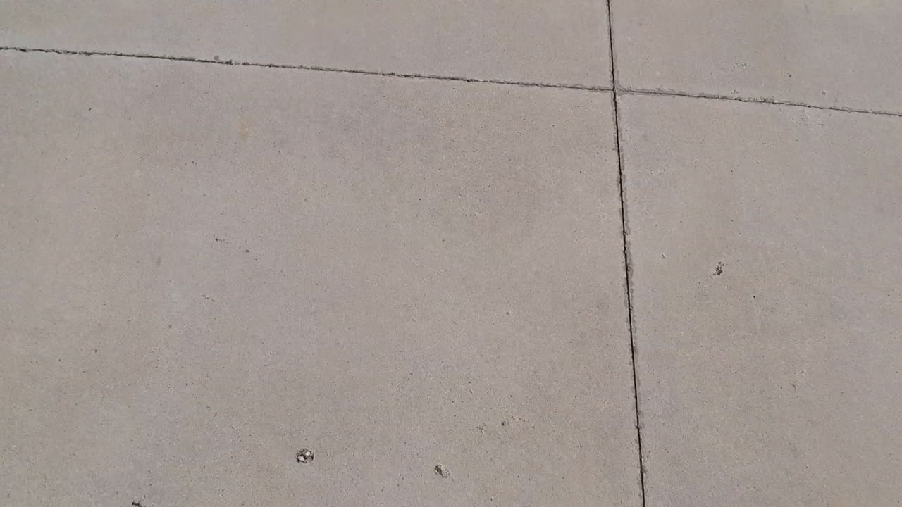 bodega gótica, una hermosa bodega familiar en rueda, españa