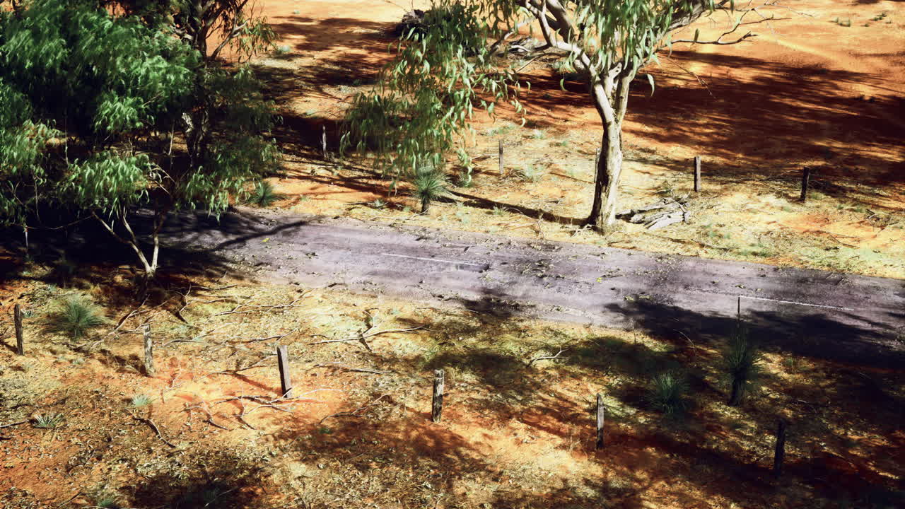 View of a dusty road surrounded by sparse trees in the australian outback