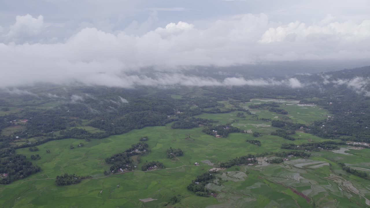 toma panorámica de los verdes y exuberantes campos de arroz en la isla de sumba en un día nublado, aérea