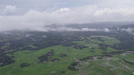 Panoramic-shot-of-green-lush-rice-paddies-at-Sumba-island-at-a-cloudy-day,-aerial